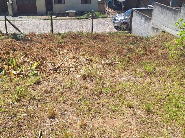 Apartamento para Venda em Caxias do Sul - 4
