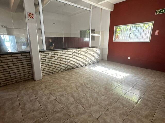 #124 - Sala para Locação em Caxias do Sul - RS - 1